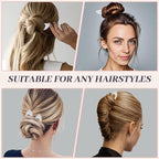2PCS 5Inch French Hair Pins Large U-Shaped Pins for Women and Girls Fashion Metal Hair Pin French Twist Hair Pins for Buns, Updos,Stylish and Functional(set6-silver)