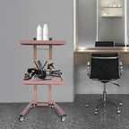 Hairstylist Trolley Cart with Wheels, 2 Tier Salon Tray Cart with Storage Platform, Stainless Steel Salon Service Station Hair Color Tray, Mobile Hairdressing Trolley for Spa Home Use (Rose-Gold)