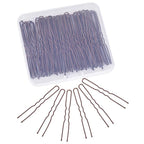 Hair Pins for Women, IKOCO 80pcs 2.75inch U Shaped Hair Pins with Storage Box, Brown