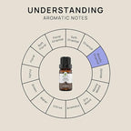 VINEVIDA Myrrh Essential Oil 10 mL - Undiluted, Pure, Vegan, Reusable Glass Bottle