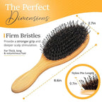 Belula Boar Bristle Hair Brush - Hair Brushes for Women & Mens Hair Brush, Detangler Brush, Hairbrush, Detangling Brush for Long, Curly or Any Type of Hair.