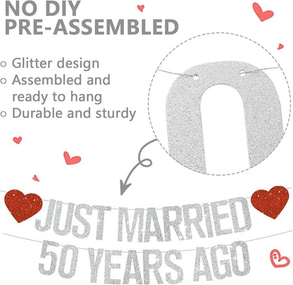 Silver Glitter Just Married 50 Years Ago Banner, NO DIY, Pre-Strung 50th - Image 2