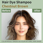 3 in 1 Hair Dye Shampoo for Gray Hair, 16.9 Fl Oz (Chestnut Brown for Men & Women)