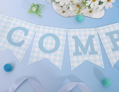 Blue Gingham Welcome Baby Shower Banner - Image 7