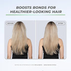 XMONDO Hair Recalibrate Bond Repair Shampoo | Vegan Formula with Bond Builder, Maracuja Oil, and Hyaluronic Acid to Restore, Strengthen, and Revitalize Dry Damaged Hair, 8 Fl Oz 1-Pack