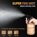 Glass Plant Spray Bottle, 13.5 oz Small Plant Mister, Leak Proof Fine Mist Watering can with Adjustable Nozzle for Indoor Plants Lover, Gardening, Hair, Cleaning Solutions (Orange)