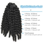 Burmese Curly Clip in Hair Extensions Real Human Hair, 8Pcs Remy Human Hair Clip in Extensions for Women, Natural Soft Human Hair, 120g 22inch #1B Natural Black