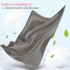 Mulberry Silk Pillow Cases 2 Pack Standard Size 20x26 Inches with Hidden Zipper, Ultra Smooth and Soft Breathable Cooling Silk Satin Pillowcase Set of 2, Better for Hair and Skin, Gifts for Women Men