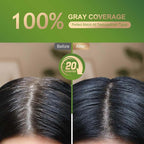 Permanent Hair Dye Gray Coverage Hair Dye PPD-Free Permanent Hair Color for Women 1B Obsidian Noir Black Natural Black