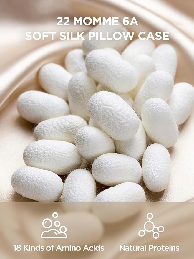 Mulberry Silk Pillowcase for Hair and Skin, SGMSILK 22 Momme Natural Silk Pillow Cases with Zipper, 6A Soft and Smooth Single Sided Pure Silk Pillow Cover (Champagne, Standard 20"x26")