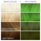 ARCTIC FOX Vegan and Cruelty-Free Semi-Permanent Hair Color Dye (8 Fl Oz, IRIS GREEN)