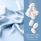 100% Silk Pillow Cases 2 Pack Queen Size Mulberry Silk Pillowcase for Hair and Skin Set of 2 Highest Grade 6A Silk Soft Breathable Cooling with Hidden Zipper, Sky Blue