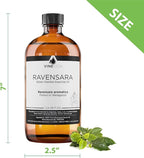 VINEVIDA Ravensara Essential Oil 16 oz - Undiluted Ravensara Oil 16 oz - Ravensara Candle Oil Scent - DIY Candle Scents for Candlemaking - Bulk Essential Oil for Soap Making Safe for Skin