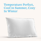 Silver Silk Pillow Case, Fits Standard Queen Pillow, 100% Mulberry Silk Pillowcase 22mm, 6H High-Grade Fibers, 100% Silk Pillowcase for Healthy Skin & Hair