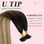 YoungSee U Tip Hair Extensions Brown Balayage U Tip Hair Extensions Human Hair Keratin Hair Extension Real Human Hair Ombre Brown to Blonde Utip Hair Extension Human Hair 22In 1g/s 50g