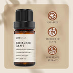 VINEVIDA Coriander Essential Oil - Undiluted Leaf Oil - Candle Oil Scent - DIY Candle Scents - 10 mL for Soap Making