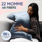 Blissy Silk Pillowcase - 100% Pure Mulberry Silk - 22 Momme 6A High-Grade Fibers - Silk Pillow Cover for Hair & Skin - Regular, Queen & King (Ash Blue, Queen)