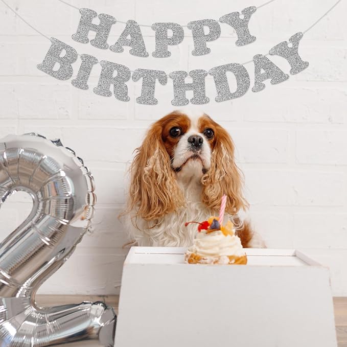 Silver Happy Birthday Banner Birthday Party Decorations Happy Birthday Banner - Image 8