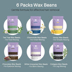 BLITZWAX Back and Nose Waxing Kit for Men, Hard Wax Warmer for Brazilian, Body and Face, At Home Hair Removal Kit, Beginner Friendly, Quick Heating, 93 Accessories, Blue Spruce