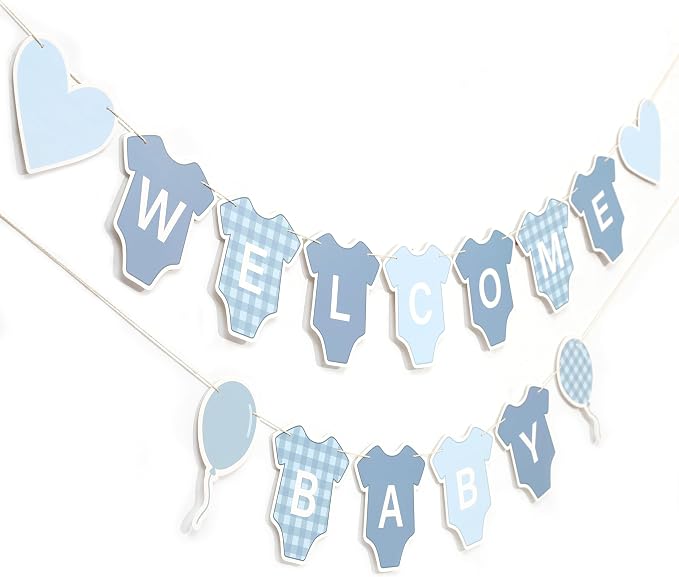 Blue Gingham Baby Shower Banner - Image 3