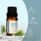 Rosemary Essential Oil Blend, Rosemary Oil, Can be Used for, Hair, Skin, Nails, Aromatherapy Oil& Diffuser Essential Oils- 10ML