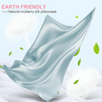 Mulberry Silk Pillow Cases Standard Size with Hidden Zipper, Ultra Smooth and Soft Breathable Cooling Silk Satin Pillowcase for Hair and Skin, Gifts for Women Men (Haze Blue, 20x26 Inches, 1 Pack)