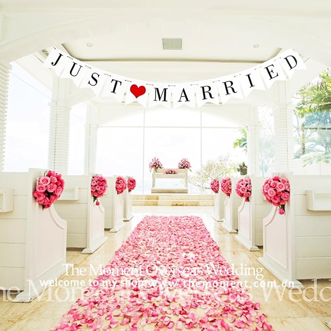 JUST Married Wedding Banner Set, Wedding Decorations - Image 5