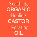 Plant Therapy Castor Oil USDA Organic Cold Pressed 100% Pure Hexane Free 1 Gallon, Conditioning & Healing, for Dry Skin, Hair Growth, Eyelashes