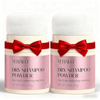 YLNALO Dry Shampoo Powder 2 Packs, Mattifying Root Fuller Looking Refreshing Hair,Non-aerosol, No White Cast, Travel Size Dry Shampoo Suitable for Women and Men,0.58Oz