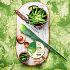 THESAEM Jeju Fresh Aloe Soothing Gel 10.1 fl. oz. - 99% Pure Aloe Vera Leaf Juice from Jeju Island - Multi-Purpose Moisturizing Gel for Face, Body & Hair - Cooling Relief for Irritation & Dry Skin