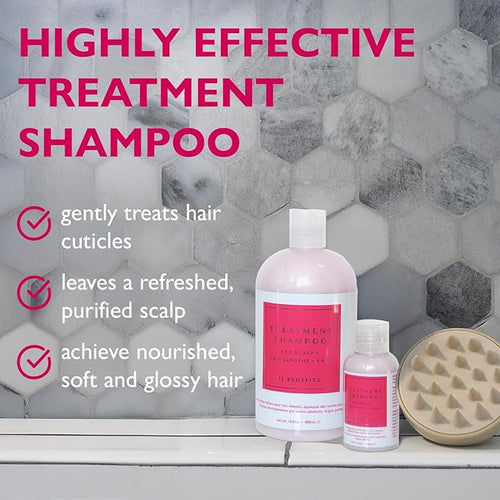 12 Benefits Treatment Shampoo – Hydrating Scalp Treatment, Gentle, Effective Cleanse, Sulfate-Free Shampoo for Dry, Damaged, and Color-Treated Hair, 16 Fl Oz (480 ML)