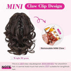 REECHO Ponytail Extension, 9" Claw Clip in Short Curly Wavy Pony Hair Extension Jaw Clip on Pony Tail HP001 Hairpiece for Women - Chestnut Brown with Golden Highlights