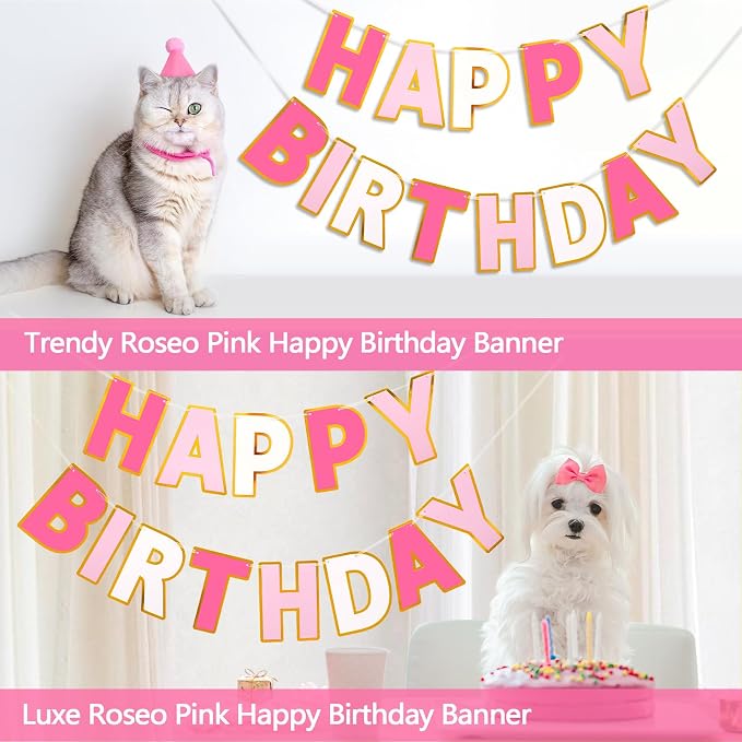 Pre-Strung Happy Birthday Banner - Image 8