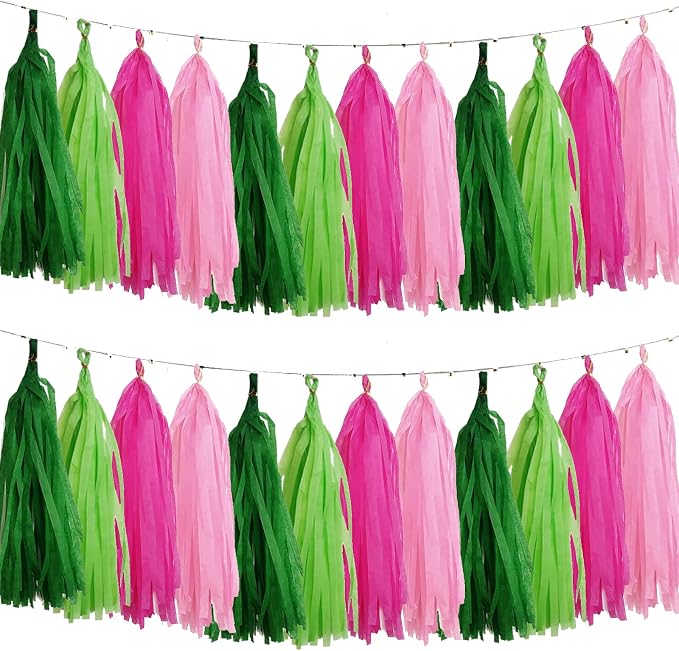 Pink and Green Tissue Paper Tassels Party Tassel Garland Banner by We+Moment