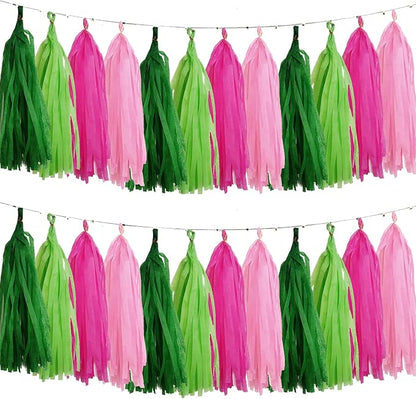 Pink and Green Tissue Paper Tassels Party Tassel Garland Banner by We+Moment