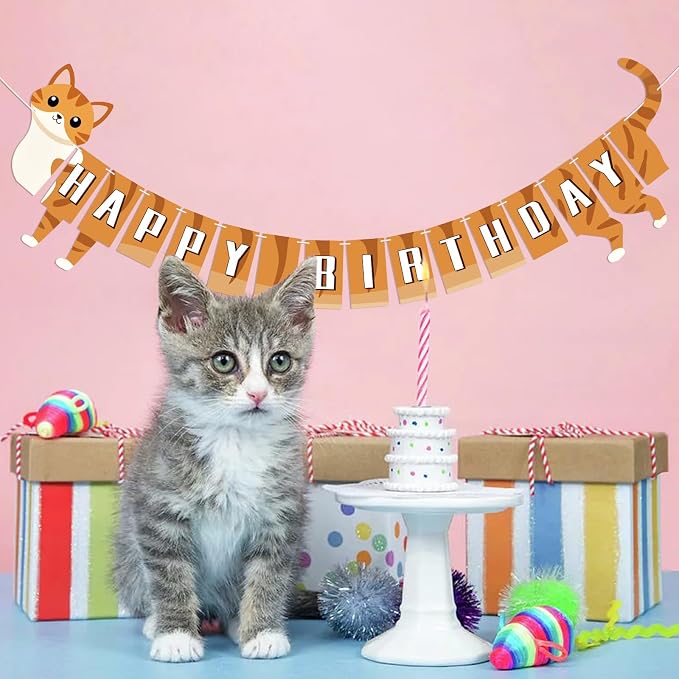 Cat Happy Birthday Banner Orange Cat Banner Bunting Flag Garland Party - Image 9