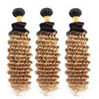 Ombre Blonde Bundles Human Hair 1b27 Deep Wave Bundles 26 28 30 Inch Brazilian Virgin Soft and Silky Remy Hair Extensions 2 Tone Black and Honey Blonde Deep Wave Bundle 150g