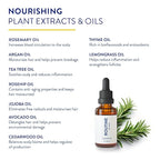 Routine Wellness Hair Treatment Serum for Thinning Hair - Plant-Based Rosemary, Tea Tree & Argan Oils Blend for Strength, Shine & Softer Hair - Clean Ingredients, All Hair Types - 30ml (Pack of 3)