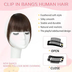 Clip in Bangs 100% Real Human Hair, French Bangs Hair Clip, Fake Bang Fringe with Temples Hairpieces for Women Daily Wear (Dark Brown, French Bangs)