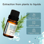 Rosemary Essential Oil Blend, Rosemary Oil, Can be Used for, Hair, Skin, Nails, Aromatherapy Oil& Diffuser Essential Oils- 10ML