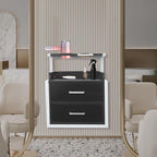 Suspended Salon Station for Hair Stylist, Wall Mounted Styling Salon Station Storage Cabinet w/2*Drawers &Hair Dryer Stand,Floating Nightstand Stylist Storage Cabinet for Home (Black+ Silver)