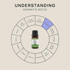 VINEVIDA Organic Peppermint Essential Oil 10 mL - Undiluted Candle Oil Scent for DIY Candlemaking and Soap Making
