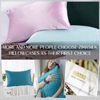 ZIMASILK 100% Pure Mulberry Silk Pillowcase for Hair and Skin Health,Soft and Smooth,Both Sides Premium Grade 6A Silk,600 Thread Count,with Hidden Zipper,1pc(Standard 20''x26'',Turquoise)