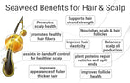 Saltie Daily Hair Detangle Conditioner I Nourish with Sea Weed, Kelp & Algae I Lightweight, detangle, repair split ends, adds shine for radiant hair. (8.5 fl. Oz /250ml)