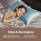 Luxury 6A Mulberry Silk Pillowcase & Silk Pillow Case for Hair & Skin – Anti-Wrinkle, Hidden Zipper – Best Beauty Sleep Solution for Women (Light Blue, Standard)