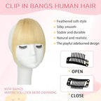 Clip in Bangs 100% Real Human Hair, French Bangs Hair Clip, Fake Bang Fringe with Temples Hairpieces for Women Daily Wear (Blonde, French Bangs)