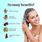 Rosemary Biotin Shampoo and Conditioner Set - Volumizing Shampoo and Conditioner for Thinning Hair for Women & Men with Nourishing B Vitamins - Color Safe Sulfate Paraben & Silicone Free (16 Fl Oz)