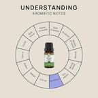 VINEVIDA Peppermint Japanese Essential Oil 10 mL - Undiluted Peppermint Oil 10 mL - Peppermint Candle Oil Scent - DIY Candle Scents for Candlemaking - 10 mL Essential Oil for Soap Making Safe for Skin