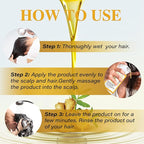 Soelegant Ginger Shampoo – Oil Control & Anti Hair Loss | Deep Cleanse & Scalp Care with Ginger Root Extract & Herbal Leaves | Anti Dandruff, Nourish & Volumizing for Men & Women, 10.144 FL OZ
