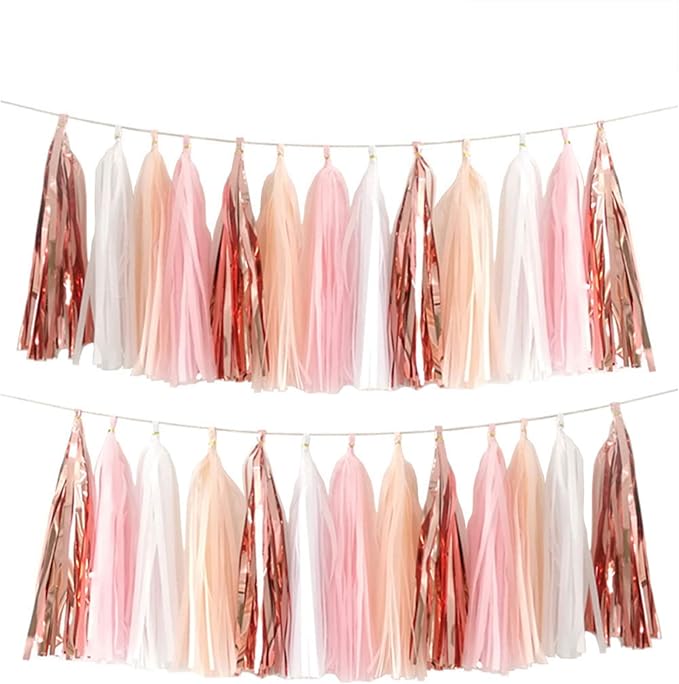 We Moment Tissue Paper Tassels Party Tassel Garland Banner by We+Moment